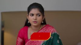 Nuvvu Leka Nenu Lenu S01 E114 Priya's Shocking Decision
