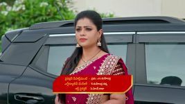 Podarillu S01 E115 Keerthi's Caution to Shailu