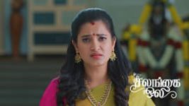 Salangai Oli (Zee Tamil) S01 E503 13th May 2026