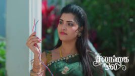 Salangai Oli (Zee Tamil) S01 E516 21st May 2026
