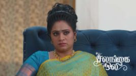 Salangai Oli (Zee Tamil) S01 E521 23rd May 2026