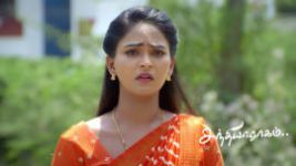 Sandhya Raagam (Tamil) S01 E868 13th May 2026