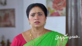 Sandhya Raagam (Tamil) S01 E871 16th May 2026
