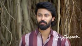 Sandhya Raagam (Tamil) S01 E872 17th May 2026