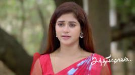 Sandhya Raagam (Tamil) S01 E874 17th May 2026