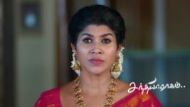 Sandhya Raagam (Tamil) S01 E878 20th May 2026