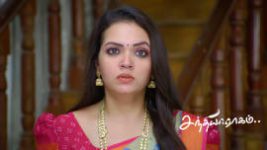 Sandhya Raagam (Tamil) S01 E885 28th May 2026