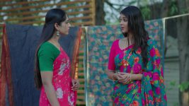 Saptapadi (Star Maa) S01 E207 Anjali's Advice to Maitri