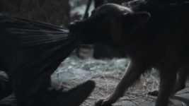 Undekhi S01 E02 Is This For Real