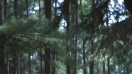 Undekhi S02 E06 Revenge is Best Served Cold Undekhi S02 E06 Revenge is Best Served Cold