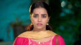 Vaagai Sooda Vaa (Zee Tamil) S01 E101 18th May 2026