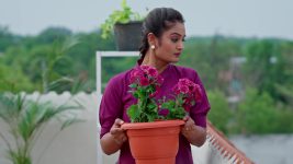Vaarasuralu (Star Maa) S01 E110 Chandana Plots against Maithili