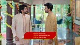 Vaarasuralu (Star Maa) S01 E91 Michael's Evil Ploy