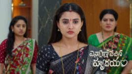 Ennallo Vechina Hrudayam (Zee telugu) S01 E431 13th June 2026 Ennallo Vechina Hrudayam (Zee telugu) S01 E431 13th June 2026