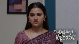 Ennallo Vechina Hrudayam (Zee telugu) S01 E445 30th June 2026 Ennallo Vechina Hrudayam (Zee telugu) S01 E445 30th June 2026