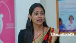 Gharana Mogudu (Zee Telugu) S01 E327 1st June 2026 Gharana Mogudu (Zee Telugu) S01 E327 1st June 2026