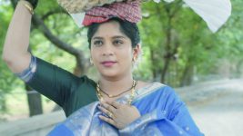 Halad Rusali Kunku Hasala (Star Pravah) S01 E316 Krushna Rises Above the Setback