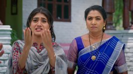 Illu Illalu Pillalu (Star Maa) S01 E499 Vedawathi, Prema Sense Trouble
