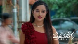 Meghasandesam (Zee Telugu) S01 E641 28th May 2026 Meghasandesam (Zee Telugu) S01 E641 28th May 2026