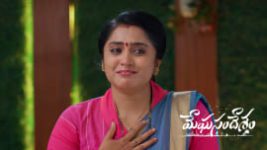 Meghasandesam (Zee Telugu) S01 E643 1st June 2026 Meghasandesam (Zee Telugu) S01 E643 1st June 2026