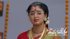 Meghasandesam (Zee Telugu) S01 E647 5th June 2026 Meghasandesam (Zee Telugu) S01 E647 5th June 2026