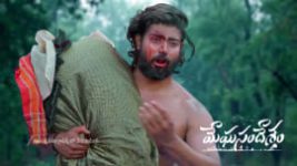 Meghasandesam (Zee Telugu) S01 E655 15th June 2026