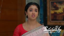 Meghasandesam (Zee Telugu) S01 E665 26th June 2026 Meghasandesam (Zee Telugu) S01 E665 26th June 2026