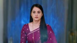 Naa Ninna Bidalaare (Zee Kannada) S01 E377 25th June 2026 Naa Ninna Bidalaare (Zee Kannada) S01 E377 25th June 2026