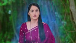 Naa Ninna Bidalaare (Zee Kannada) S01 E379 29th June 2026