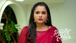 Nindu Noorella Saavasam S01 E913 15th June 2026