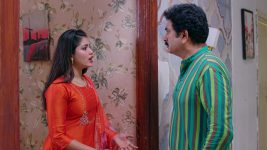Ninnu Kori (Star Maa) S01 E633 Raghuram Fails to Expose Maya Ninnu Kori (Star Maa) S01 E633 Raghuram Fails to Expose Maya