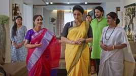 Nuvvu Leka Nenu Lenu S01 E147 Damayanthi's Family in Joy