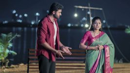 Nuvvu Leka Nenu Lenu S01 E148 Radha's Attempt Ends in Disappointment