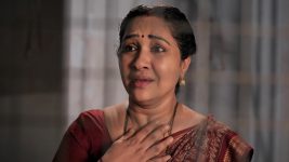 Nuvvu Leka Nenu Lenu S01 E156 Padma Fears the Worst Nuvvu Leka Nenu Lenu S01 E156 Padma Fears the Worst