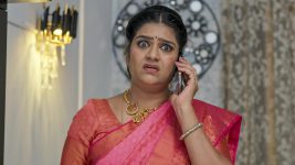 Paape Maa Jeevana Jyothi S01 E1586 Indumathi Grows Anxious Paape Maa Jeevana Jyothi S01 E1586 Indumathi Grows Anxious
