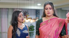 Paape Maa Jeevana Jyothi S01 E1600 Sunandha Fumes at Kutti