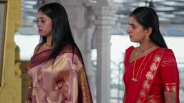Paape Maa Jeevana Jyothi S01 E1603 Kutti's Fury Towards Jeevana