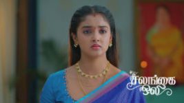 Salangai Oli (Zee Tamil) S01 E535 1st June 2026