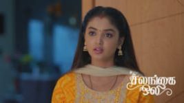 Salangai Oli (Zee Tamil) S01 E550 10th June 2026 Salangai Oli (Zee Tamil) S01 E550 10th June 2026