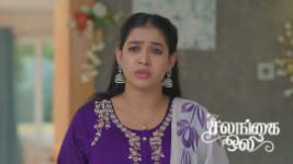 Salangai Oli (Zee Tamil) S01 E553 11th June 2026 Salangai Oli (Zee Tamil) S01 E553 11th June 2026