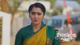 Salangai Oli (Zee Tamil) S01 E556 13th June 2026 Salangai Oli (Zee Tamil) S01 E556 13th June 2026