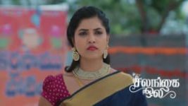 Salangai Oli (Zee Tamil) S01 E559 15th June 2026