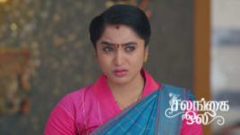 Salangai Oli (Zee Tamil) S01 E575 24th June 2026