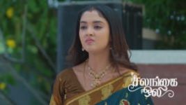 Salangai Oli (Zee Tamil) S01 E584 30th June 2026 Salangai Oli (Zee Tamil) S01 E584 30th June 2026