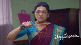 Sandhya Raagam (Tamil) S01 E896 10th June 2026 Sandhya Raagam (Tamil) S01 E896 10th June 2026