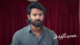 Sandhya Raagam (Tamil) S01 E901 16th June 2026 Sandhya Raagam (Tamil) S01 E901 16th June 2026
