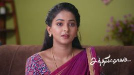 Sandhya Raagam (Tamil) S01 E902 17th June 2026 Sandhya Raagam (Tamil) S01 E902 17th June 2026
