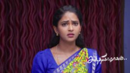 Sandhya Raagam (Tamil) S01 E903 18th June 2026 Sandhya Raagam (Tamil) S01 E903 18th June 2026