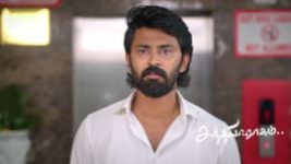 Sandhya Raagam (Tamil) S01 E906 22nd June 2026 Sandhya Raagam (Tamil) S01 E906 22nd June 2026