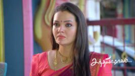 Sandhya Raagam (Tamil) S01 E907 23rd June 2026